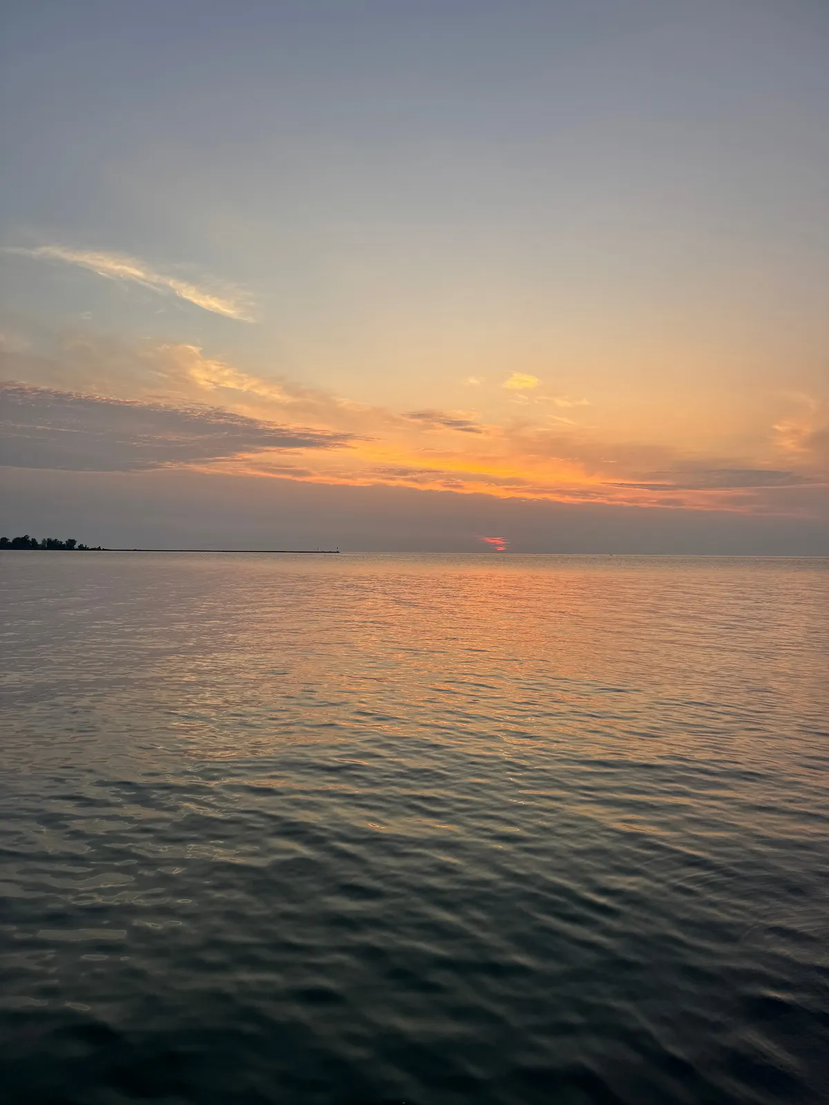 IMG_2375_compr.jpg
