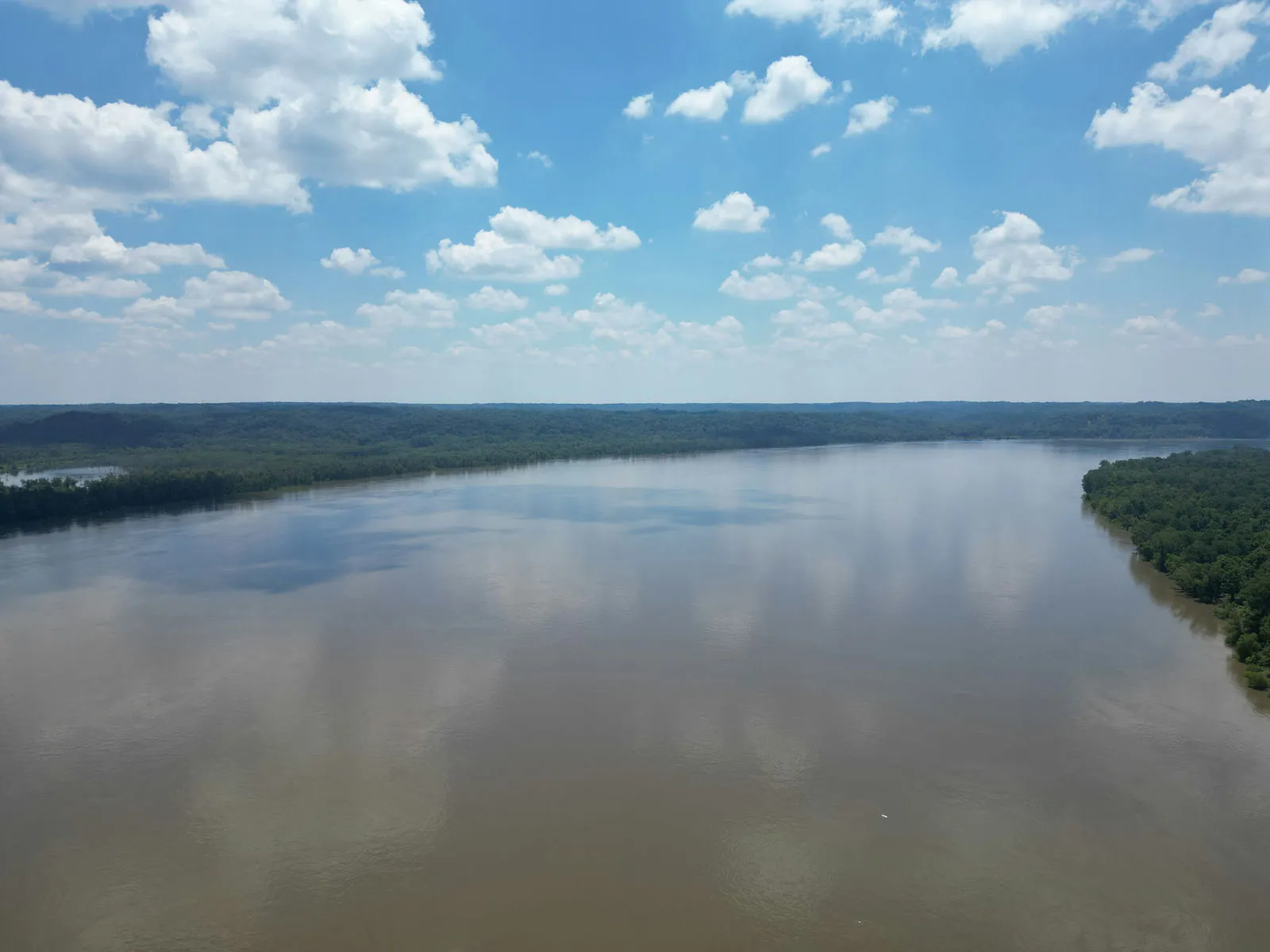 TQLN9315_compr.JPG